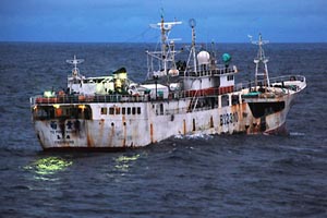 Φρένο από Interpol στην παράνομη αλιεία