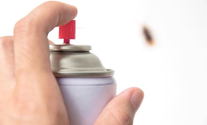 7 πράγματα που προσελκύουν κατσαρίδες στο σπίτι σας και πώς να τις αντιμετωπίσετε