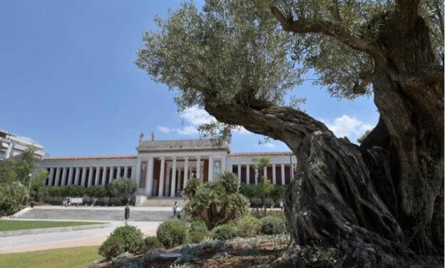 Ένας Βρετανός και ένας Έλληνας αρχιτέκτονας θα χτίσουν το Νέο Εθνικό Αρχαιολογικό Μουσείο