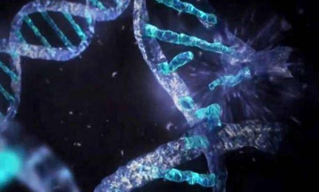 Επιστήμονες αποδεικνύουν ότι οι λέξεις μας μπορούν ν’ αναπρογραμματίσουν το DNA