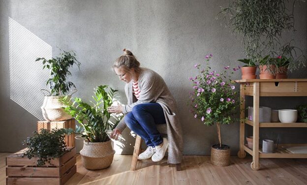 Φέρνοντας τη φύση στο εσωτερικό: συμβουλές για την ενσωμάτωση φυτών και πράσινου στη διακόσμηση του σπιτιού σας