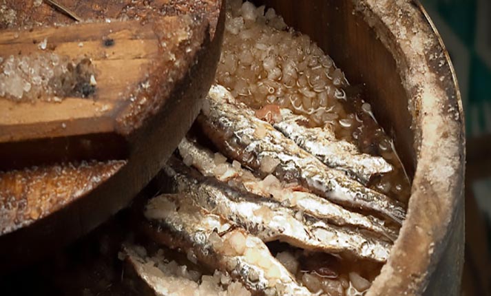 Γάρος: η αρχαία ελληνική σάλτσα από ψάρια και άλλα μυστικά ψαροφαγίας
