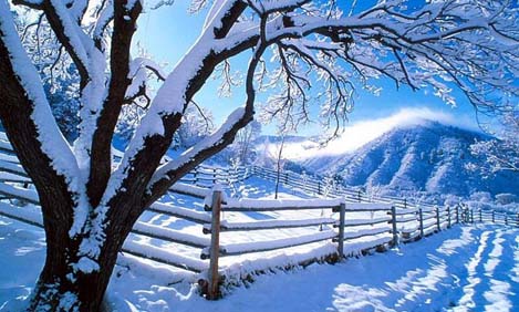 Μυστικά για όμορφες χειμωνιάτικες φωτογραφίες