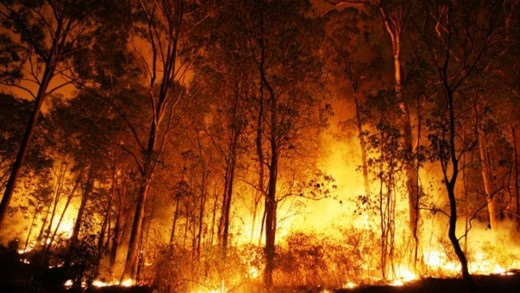Οδηγίες για την προστασία των δασών από πυρκαγιές